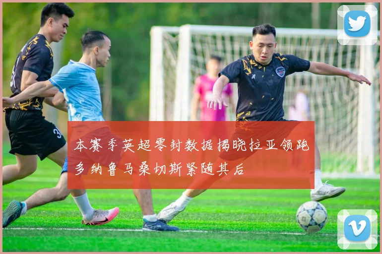 本赛季英超零封数据揭晓拉亚领跑多纳鲁马桑切斯紧随其后