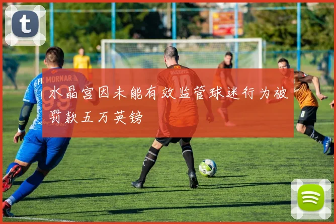 水晶宫因未能有效监管球迷行为被罚款五万英镑