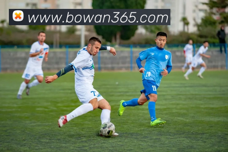 博万体育平台生态图